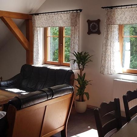 Apartman Jizerka Kořenov Dış mekan fotoğraf